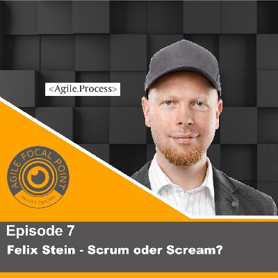 Episode #7: Felix Stein – Scrum oder Scream?