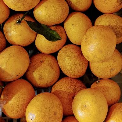 もらってきたお薬どこに置く？／一時的に増えるモノ。