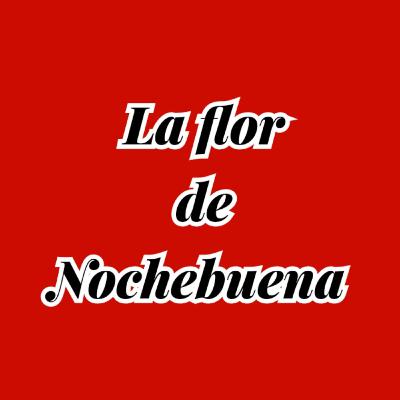 La flor de nochebuena