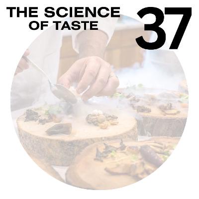 Episode #37 with Gregory Willis – Flavor, Mindfulness, and the Science of Taste Episode #37 with Gregory Willis – Flavor, Mindfulness, and the Science of Taste