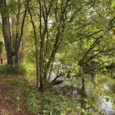 Près de Damville, un espace naturel rénové par le conseil départemental de l'Eure