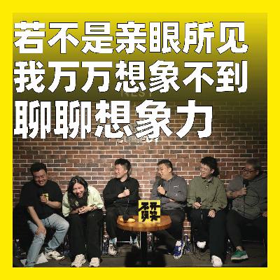 236.若不是亲眼所见，我万万想象不到：聊聊想象力