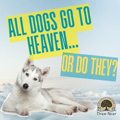 All Dogs go to Heaven... or Do they?