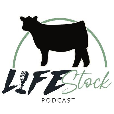 57 - Part 6 - Canadian Livestock Judging Mini Series