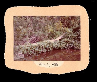 Episode 03 EXTRA: Swamp Water Justice