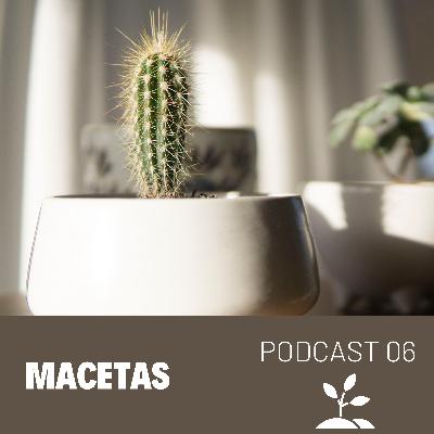 06 MACETAS | Preguntas Frecuentes