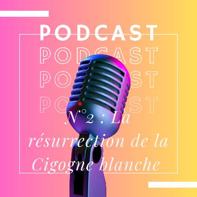 🇫🇷🇩🇪 Joyeuse Journée Franco-Allemande ! (Édition 2026) 🇫🇷🇩🇪 Joyeuse Journée Franco-Allemande ! (Édition 2026)