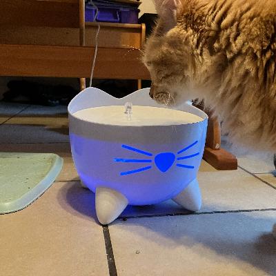 Podcast Art: Cat Fountain