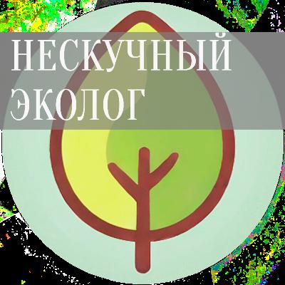 Создание одежды из вторсырья и влияние дизайнеров на экологию. Апсайклинг от бренда Indivizual