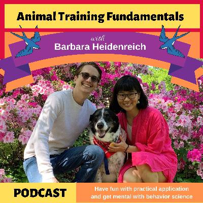 31-Is The Future of Animal Training Constructional? With Sean Will and Maasa Nishimuta 31-Is The Future of Animal Training Constructional? With Sean Will and Maasa Nishimuta