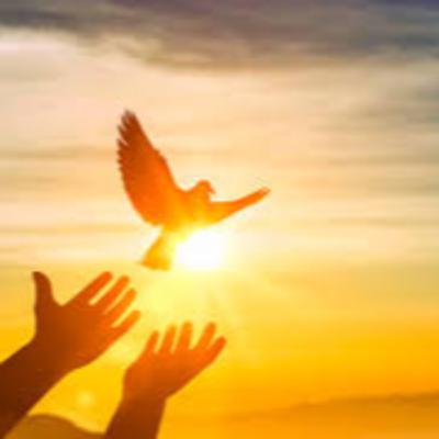 (廣、繁) 天天「靈」 聽👂🏻🕊 2025年10月8日(三) ✨使徒行傳 26:1-32✨保羅在亞基帕王前辯護