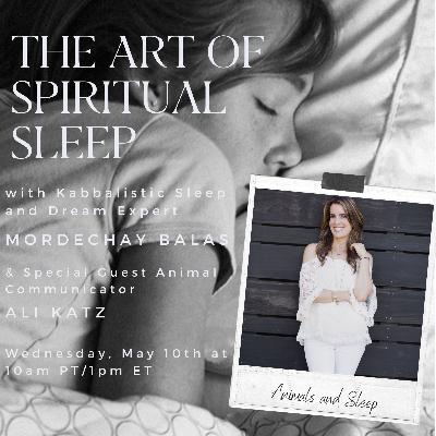 Animals and Sleep