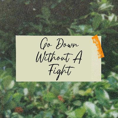 Go Down Without a Fight