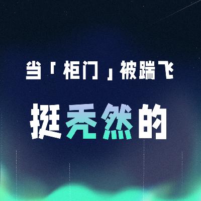 VOL.045丨当「柜门」被踹飞，挺秃然的