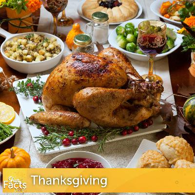 Fun Facts About Thanksgiving