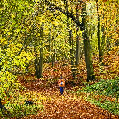 Wenn eine Woche Ferien nicht reicht: Arbeitspsychologe Oliver Weigelt über echte Erholung Wenn eine Woche Ferien nicht reicht: Arbeitspsychologe Oliver Weigelt über echte Erholung