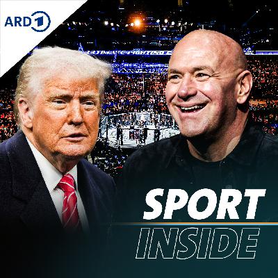 Sport unter Trump - Von Ultimate Fighting und Männlichkeitskult