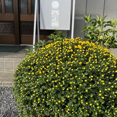 運のデザインは欲求より可能性を基準にして吉