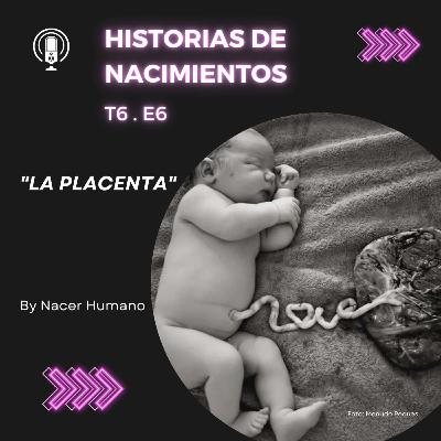 6.6 La placenta