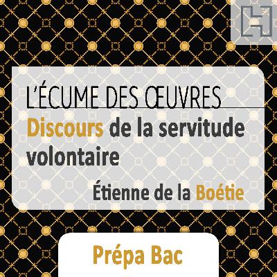 Discours de la Servitude Volontaire 2/2 – Sur le bout des doigts (Prépa Bac)