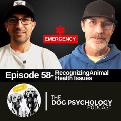 The Dog Psychology Podcast #058- Recognizing Animal Health Issues