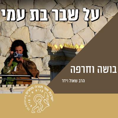 הסכתי תשעה באב: בושה וחרפה - הרב שאול וידר