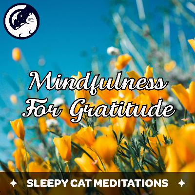 Mindfulness For Gratitude And Appreciation