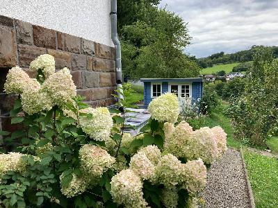 FGG248 – Termine im Gesundheitswesen