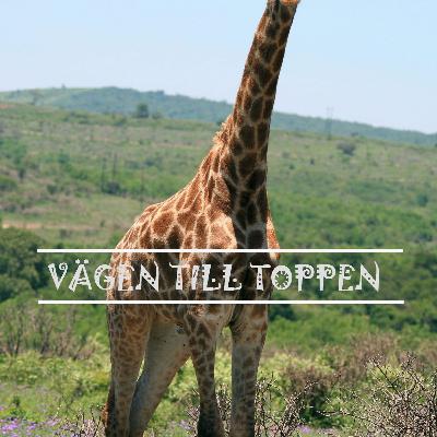 Vägen Till Toppen - Normer (2)