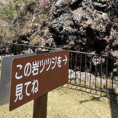 【4杯目】秘境の湿度暮らし 【4杯目】秘境の湿度暮らし