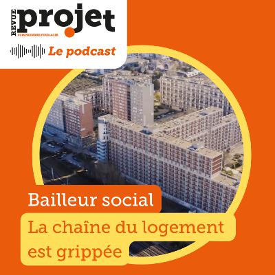 Bailleur social : la chaîne du logement est grippée Bailleur social : la chaîne du logement est grippée