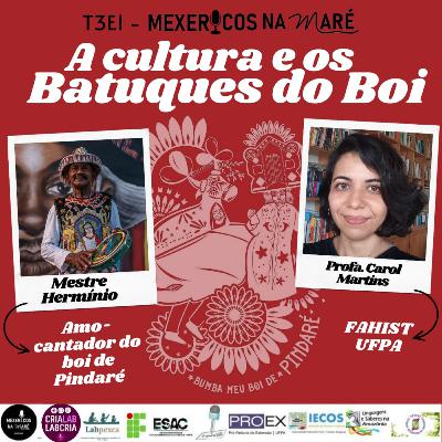 T3E1 MEXERICOS NA MARÉ - A CULTURA E OS BATUQUES DO BOI