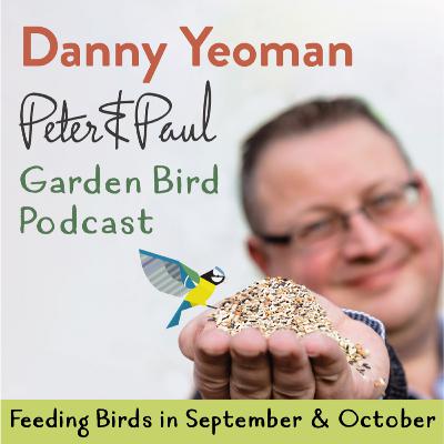 Peter & Paul British Garden Bird Podcast - Feeding Garden Birds in September & October Special