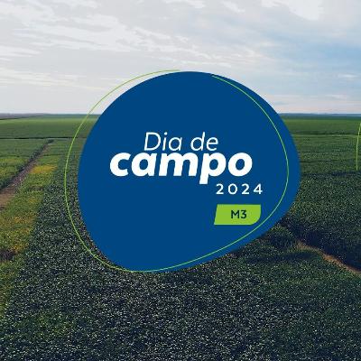 Dia de Campo Brasmax | M3 | GO, MS, MG e SP
