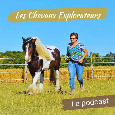 57 - Des compétences, pas des comportements !