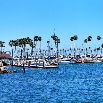 Struggle Bus: Day 97