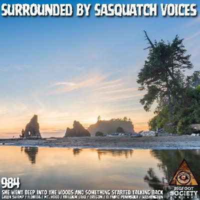 Researchers Trigger Massive Bigfoot Vocalization Event In The Olympic Peninsula