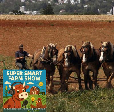 What Did Farmers Use Before Tractors?