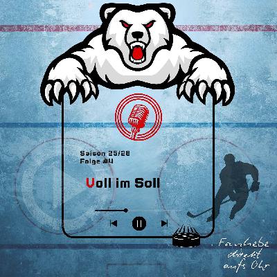 Folge 2.4: Voll im Soll