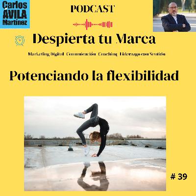 Potenciando la flexibilidad Potenciando la flexibilidad