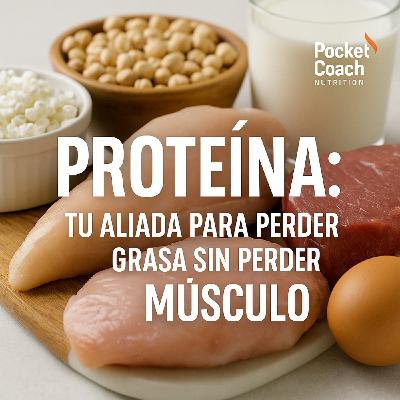 “Proteína: la clave oculta para perder grasa sin perder músculo | La guía para transformar tu cuerpo”