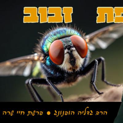 🦟 קליפת זבוב - רעיון נפלא לפרשת חיי שרה | הרב גדליה הופנונג