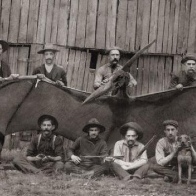 The Mogollon Monster & Tombstone Thunderbird: Arizona Folklore Legends