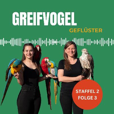 Die Verwandtschaft von Falken und Papageien - Ein Praxisbericht