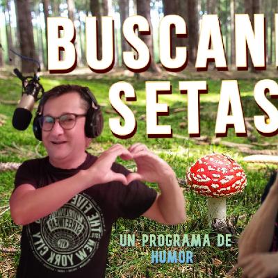 Buscando Setas 33 5T Buscando Setas 33 5T