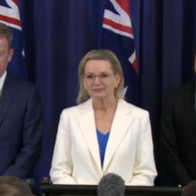 Liberals still committed to Paris Agreement despite dropping net zero target