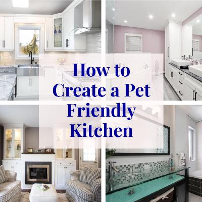 How to Create a Pet Friendly Kitchen