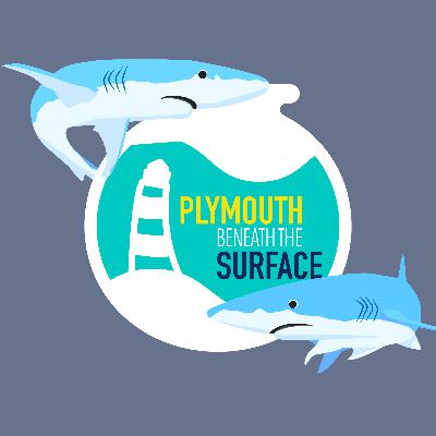 🦈 Episode #8: Following the sharks... with David Sims