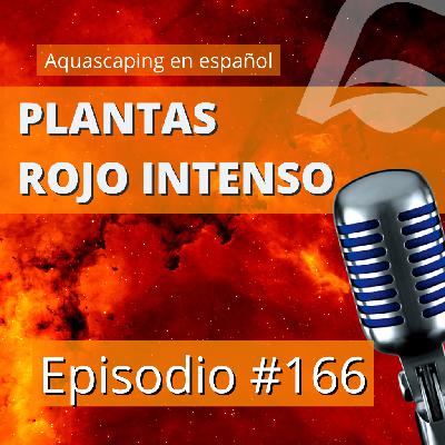 Episodio 166 | Cómo conseguir el color Rojo Intenso en las plantas
