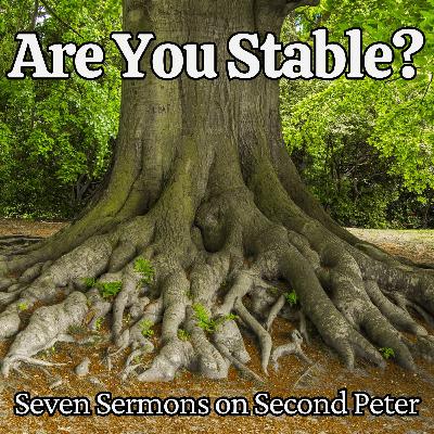 Established by a Promised Return (2 Peter 3:11-18)